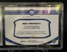 战术变革展现过人风采优势展示蓝黑军团风貌的简单介绍