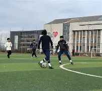 战术变革展现过人风采优势展示蓝黑军团风貌的简单介绍