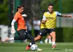 球员伤病有工资吗